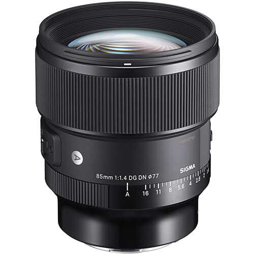 Amazon.com : Sigma 85mm f1.4 DG DN Art Lens for Sony E with
